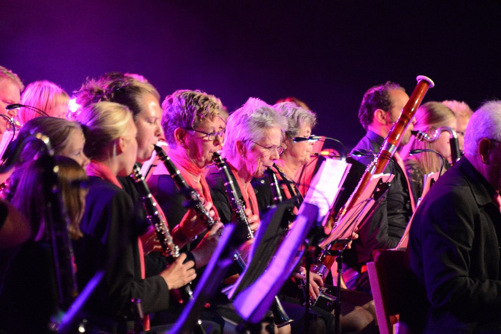../Images/Jubileumconcert 100 jaar Harpe Davids 146.jpg
